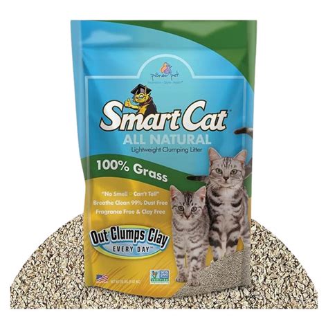best natural cat litter|sustainable cat litter.